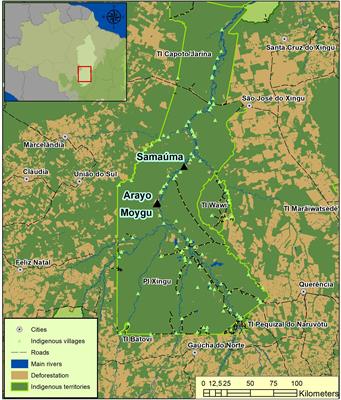 Indigenous Knowledge and Forest Succession Management in the Brazilian Amazon: Contributions to Reforestation of Degraded Areas